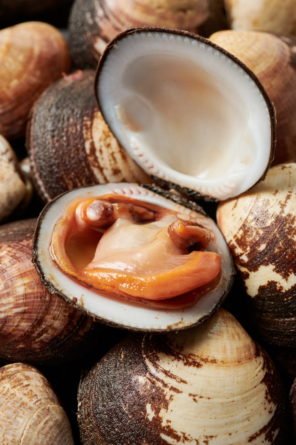 Mejillones